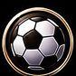 sports_fan